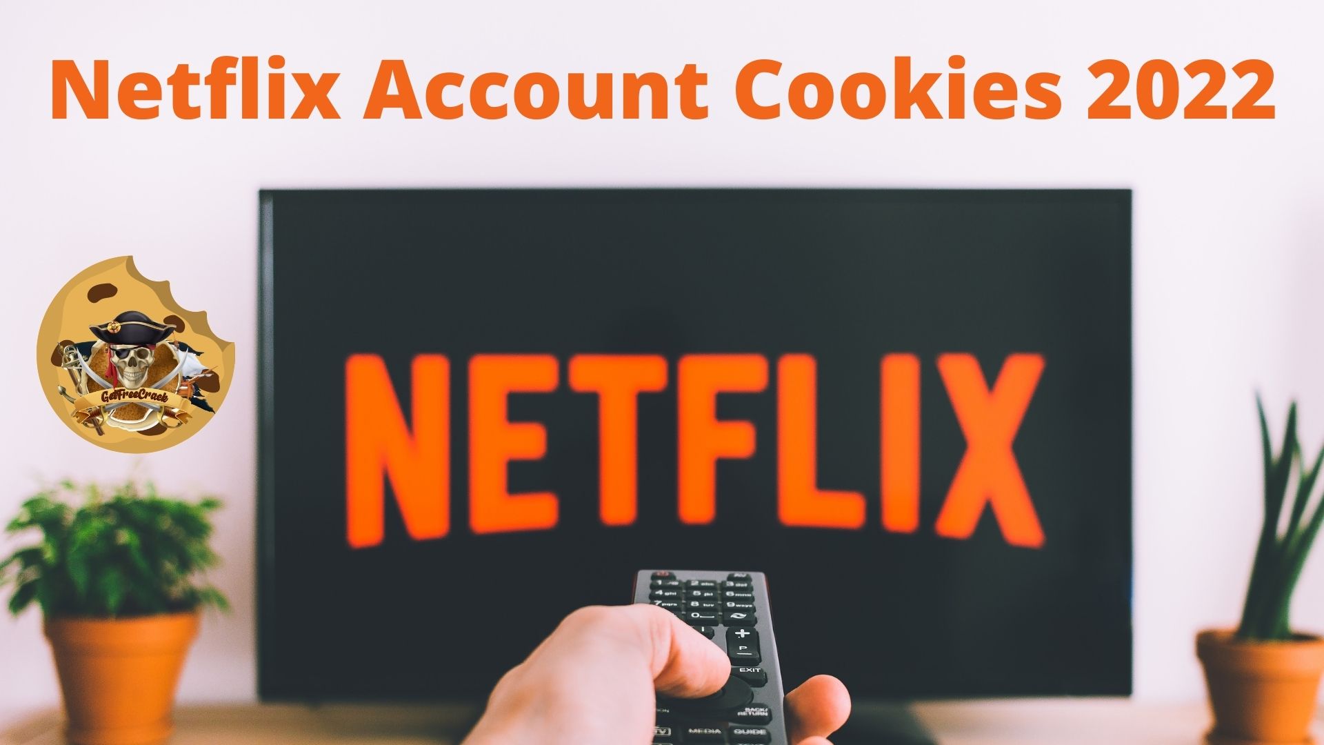 Netflix Account Cookies February 2022 100 Working (Daily Update